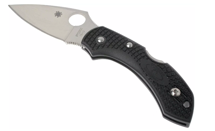 Spyderco Dragonfly 2 Pin C28PBK2