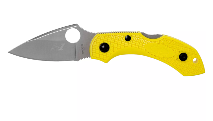 Spyderco Dragonfly 2 Salt C28PYL2 pocket knife